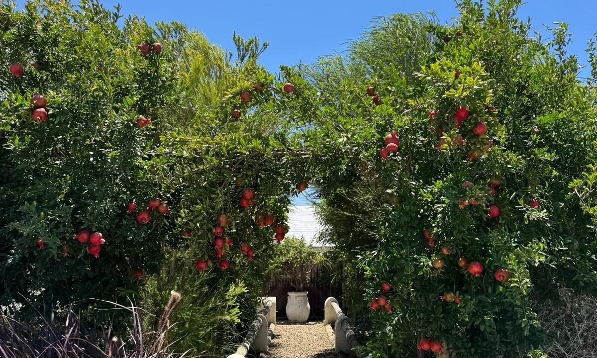 Photo of Outdoor in Chipiona
