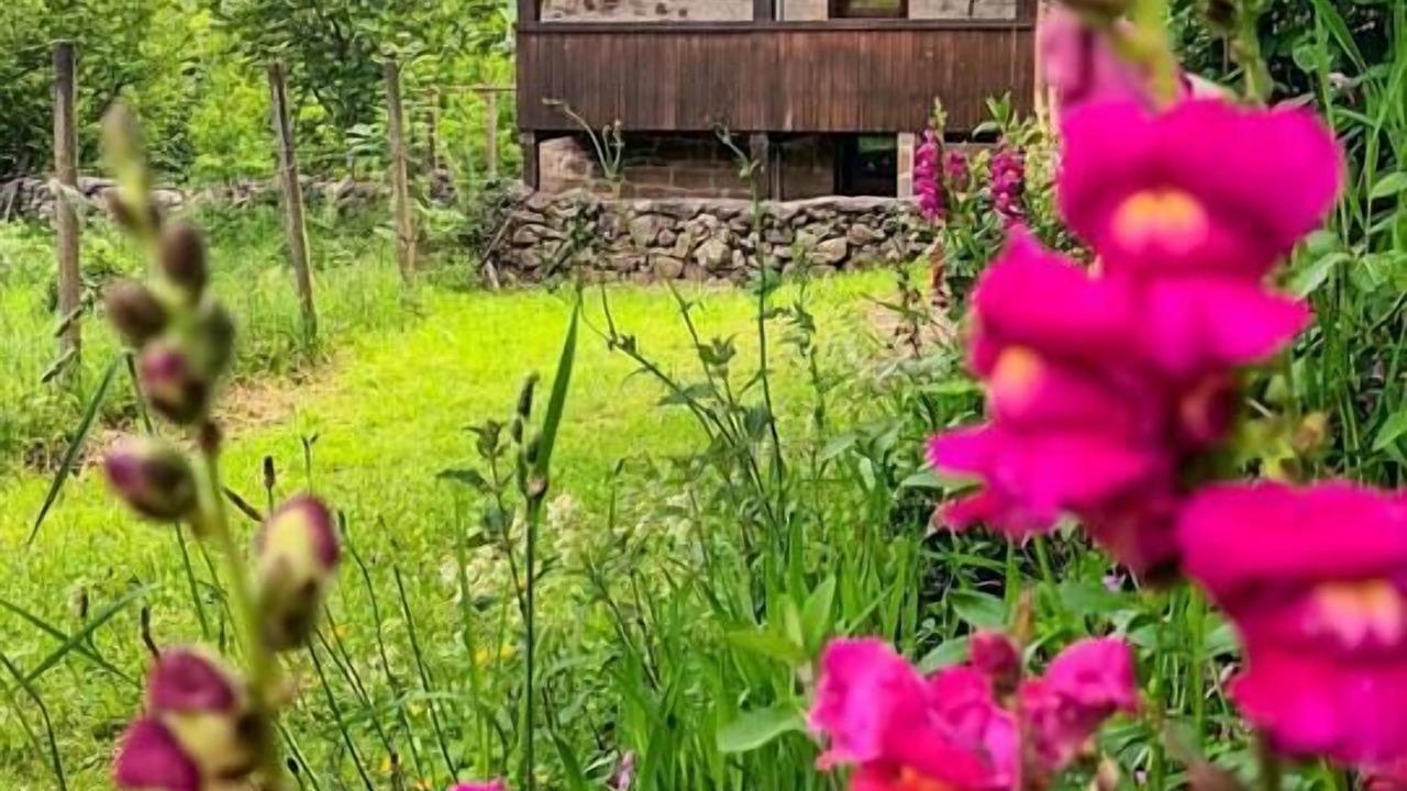 Photo of Outdoor in Yera
