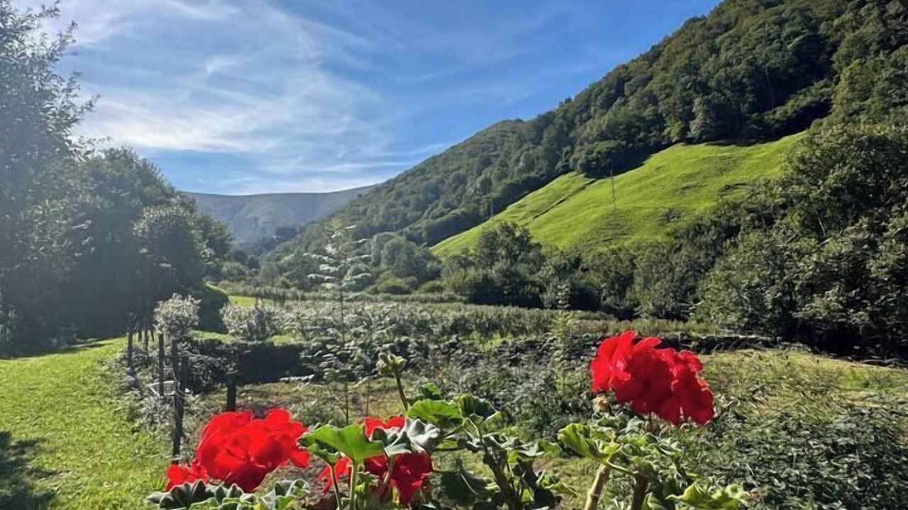 Photo of Outdoor in Yera