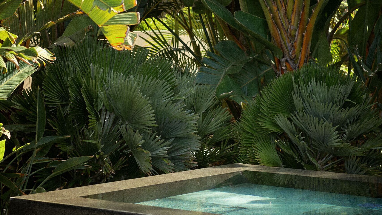 Photo of Outdoor in San Miguel de Abona