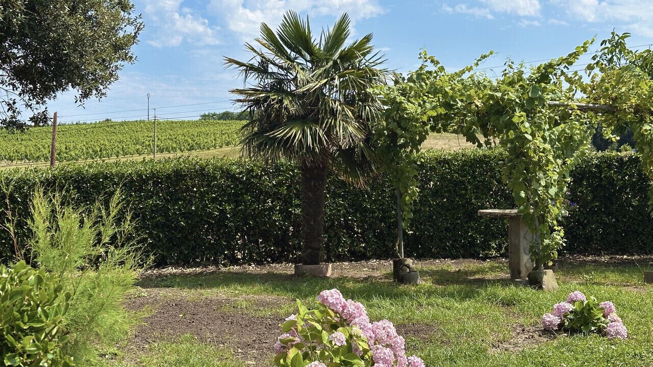 Photo of Outdoor in Isla