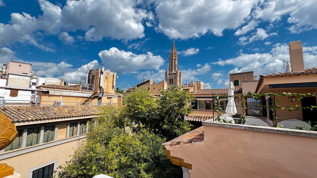 Photo of Others in Monti-Sion