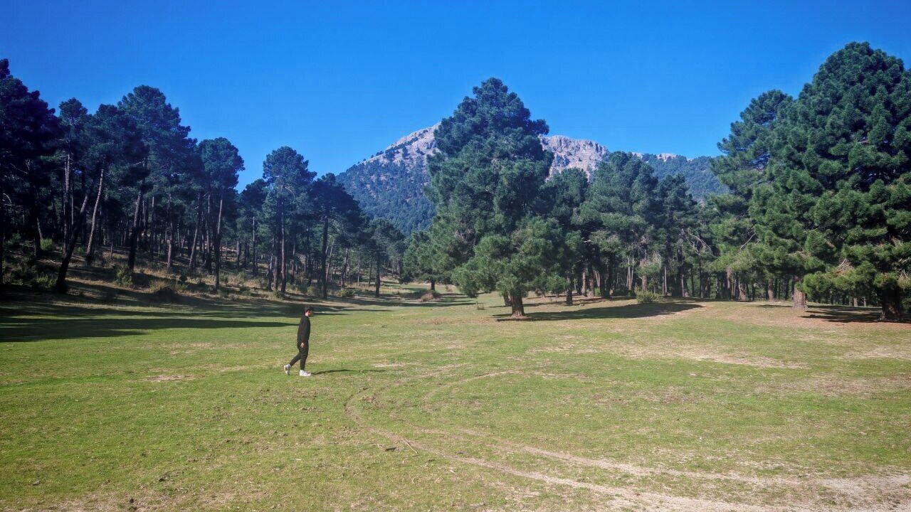 Photo of Others in Riopar