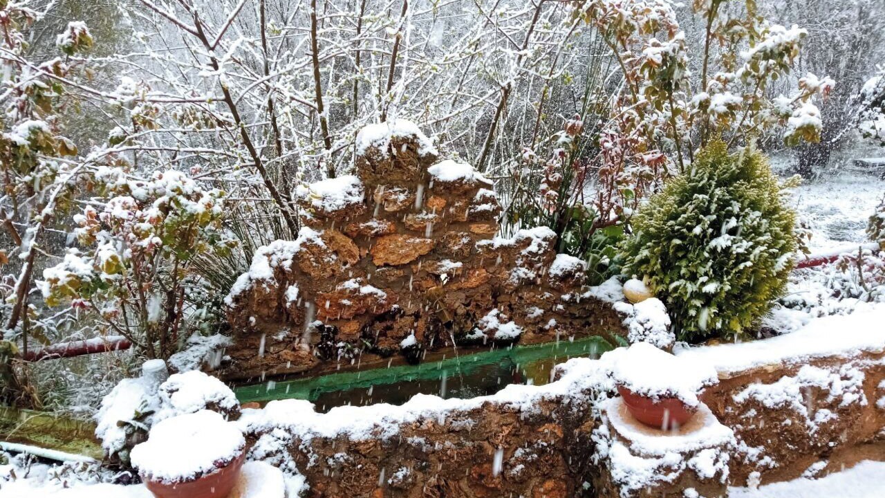 Photo of Outdoor in Riopar