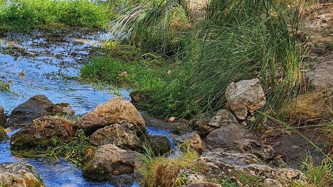 Photo of Others in Riopar