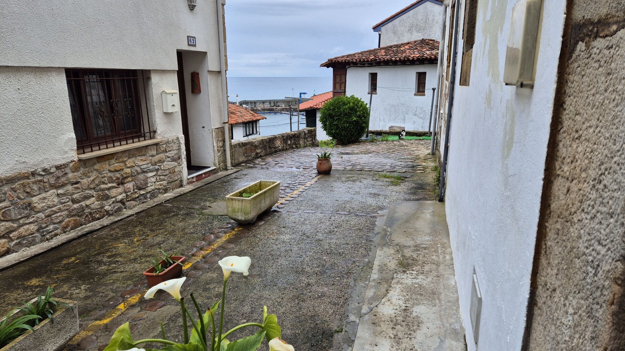 Photo of Others in Tazones