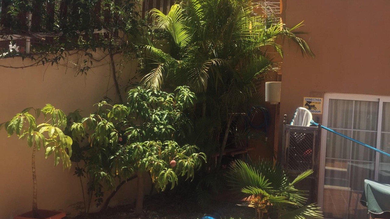 Photo of Outdoor in Candelaria