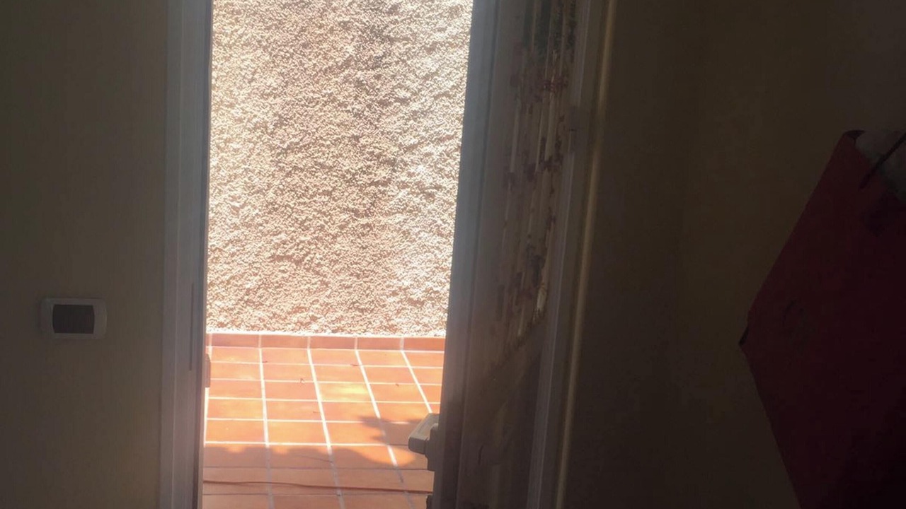 Photo of Others in Candelaria