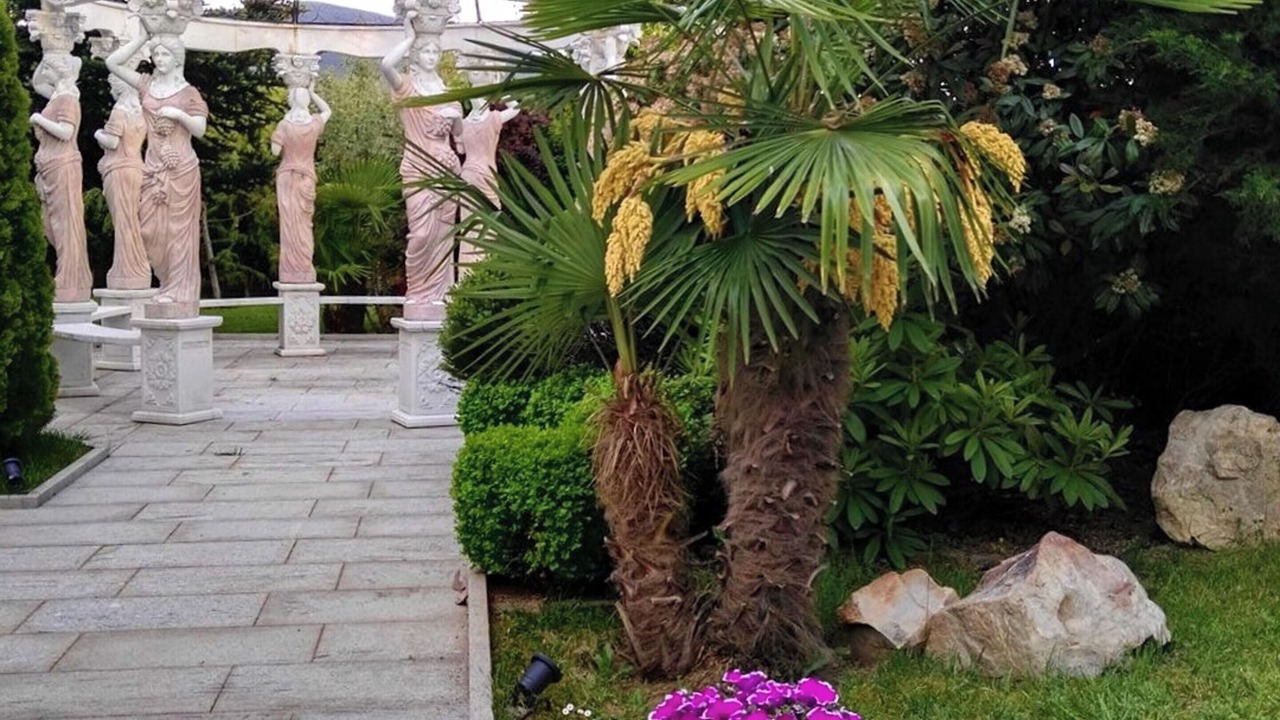 Photo of Outdoor in Almazcara