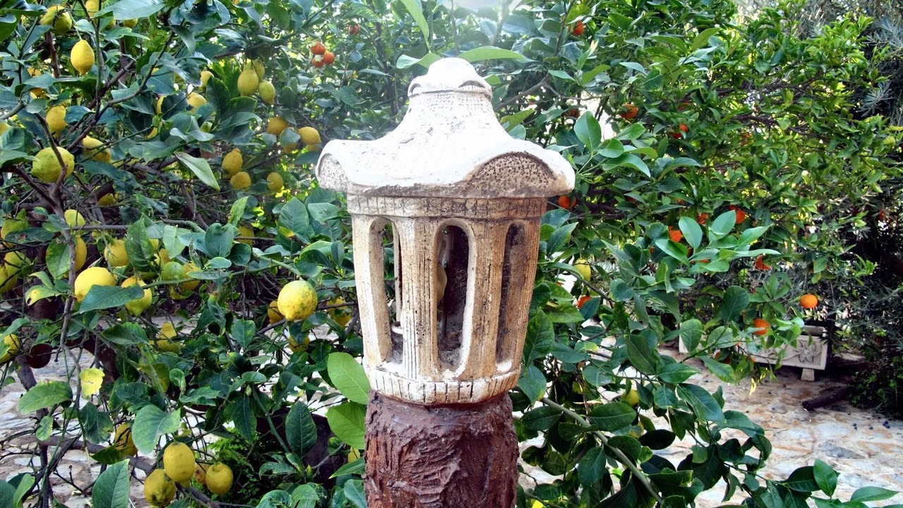 Photo of Outdoor in Algaida
