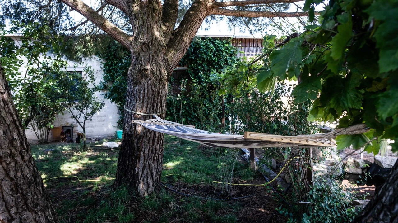 Photo of Outdoor in Vitigudino