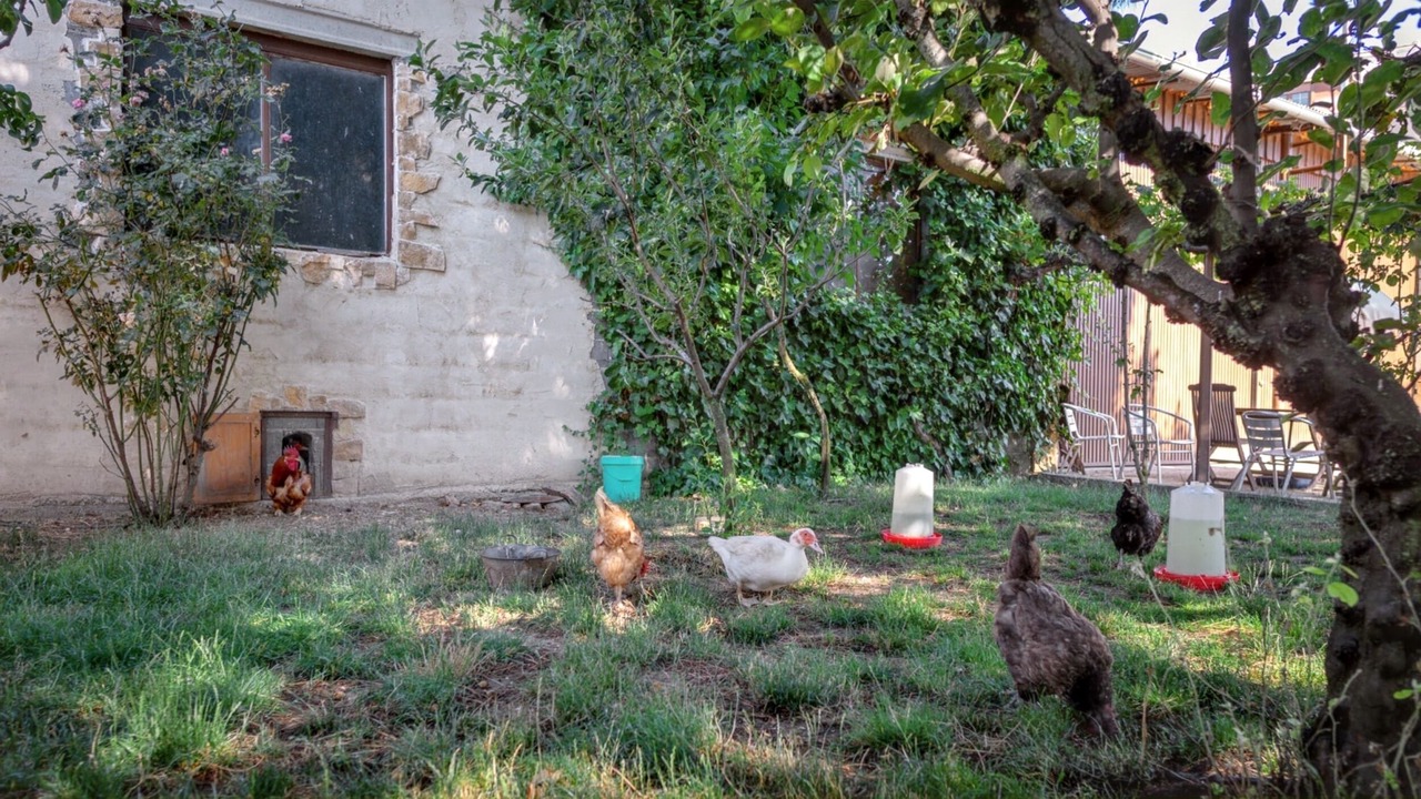Photo of Outdoor in Vitigudino