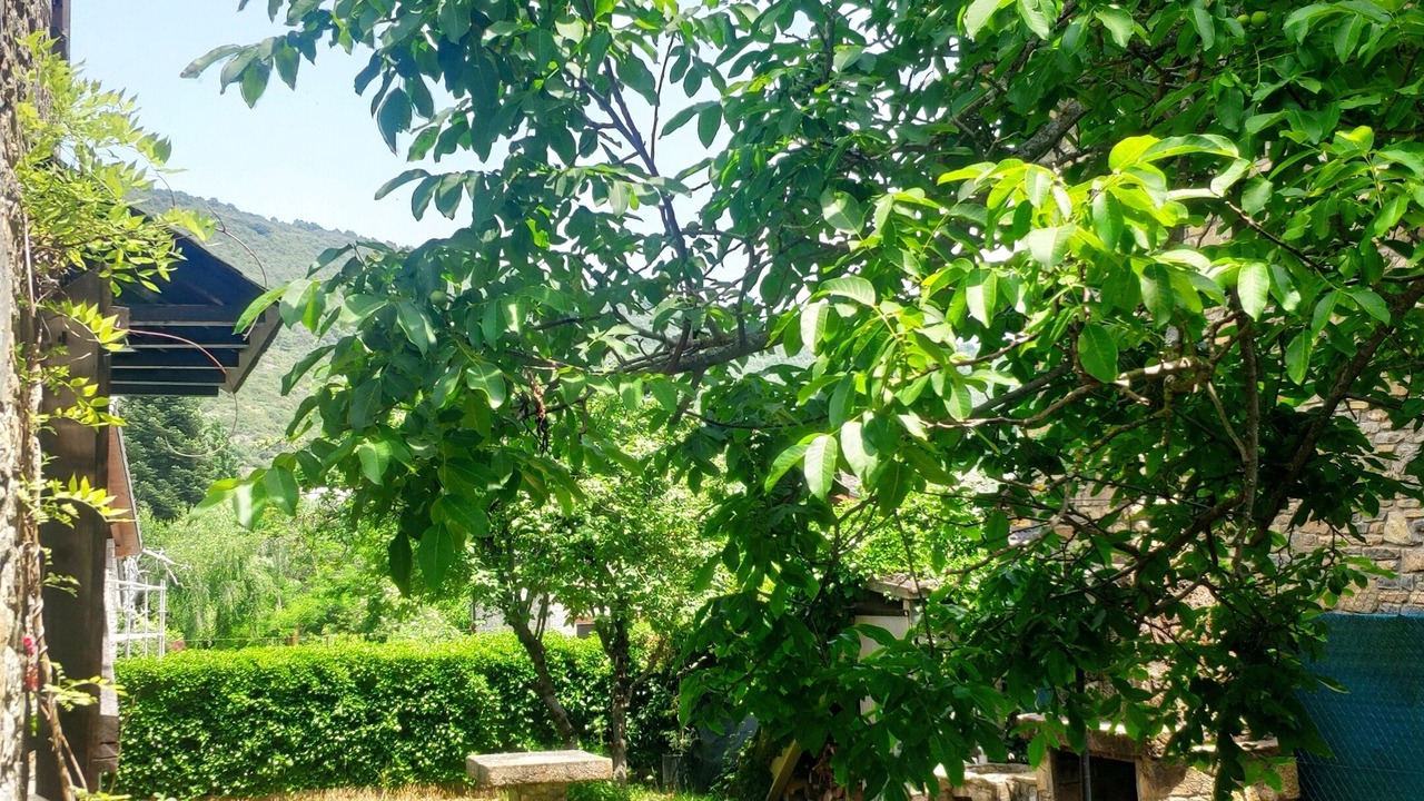Photo of Outdoor in Sarratillo