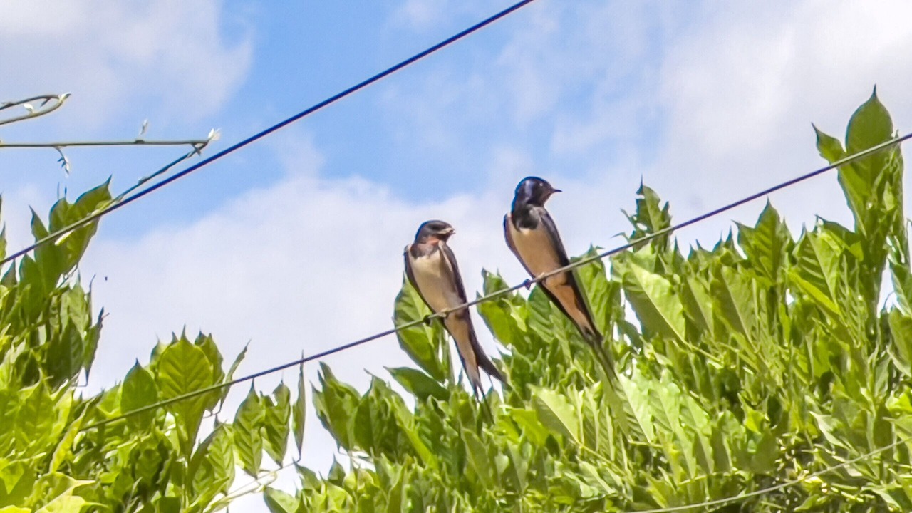 Photo of Outdoor in Beguda