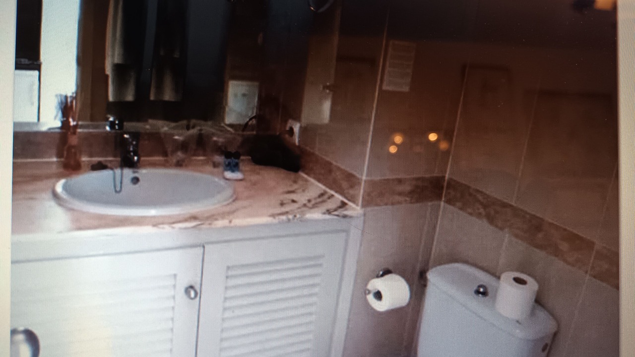 Photo of Bathroom in Siesta