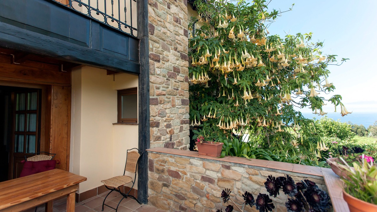 Photo of Patio Balcony in Lloreda