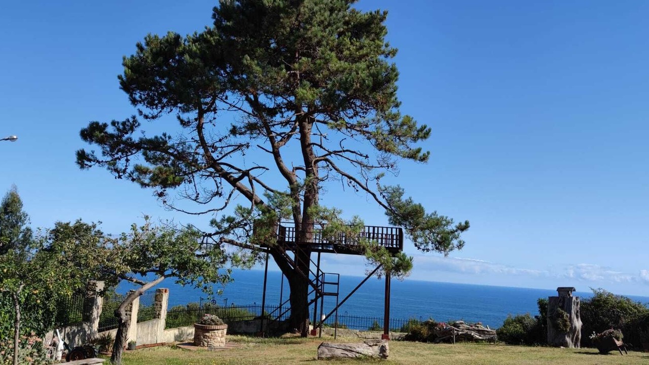 Photo of Outdoor in Lloreda