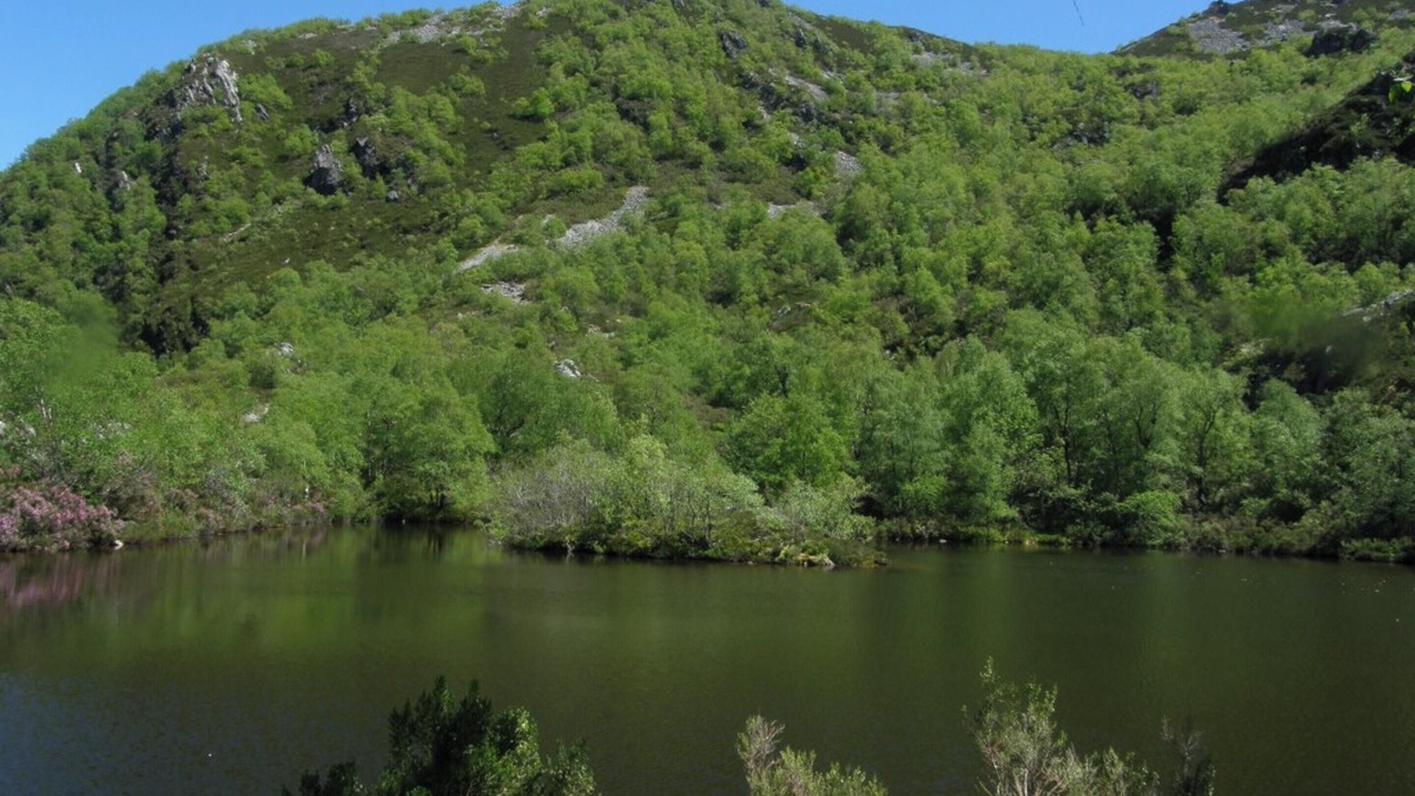 Photo of Others in Ibias Municipality