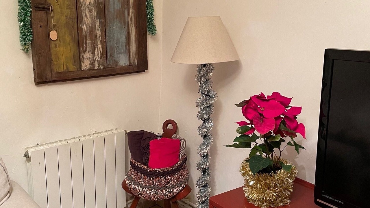 Photo of Livingroom in Campo de San Pedro