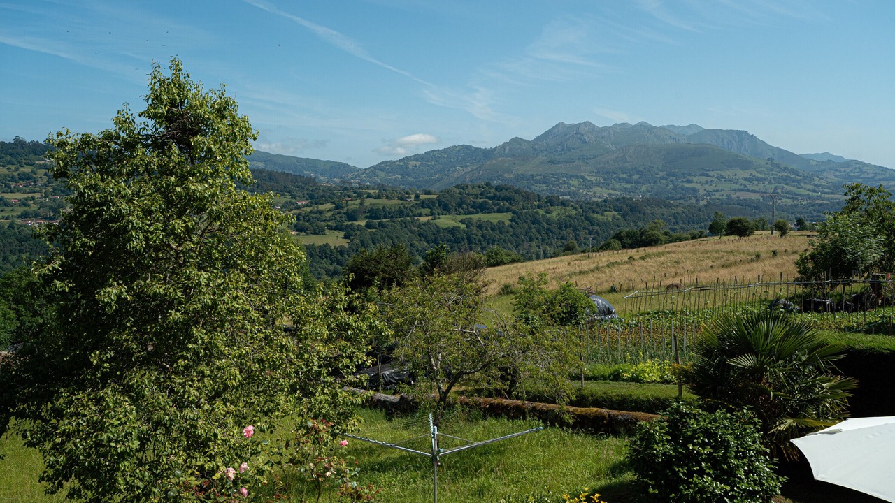 Photo of Others in Pilona