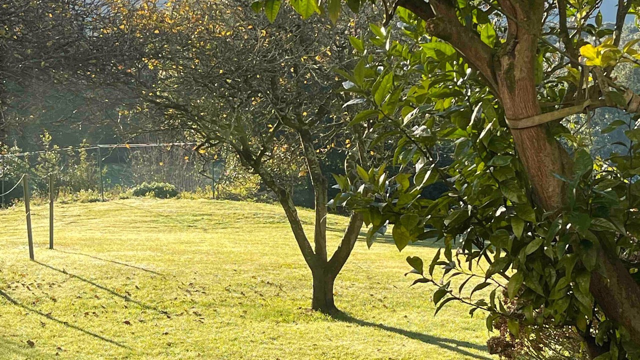 Photo of Outdoor in Andrin