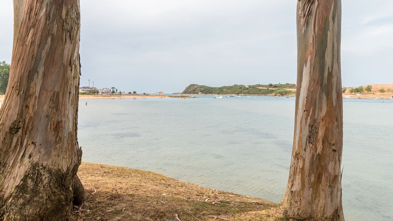 Photo of Others in Suances