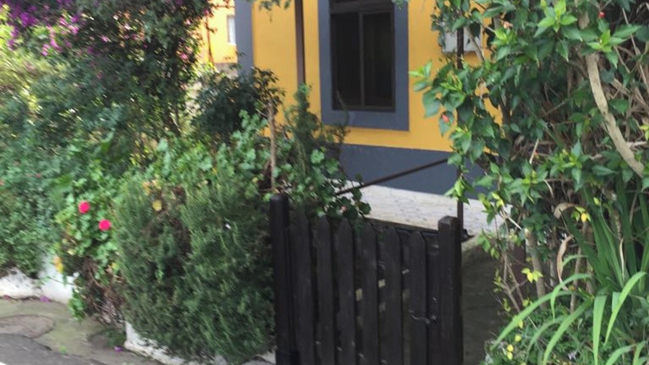 Photo of Others in Teror