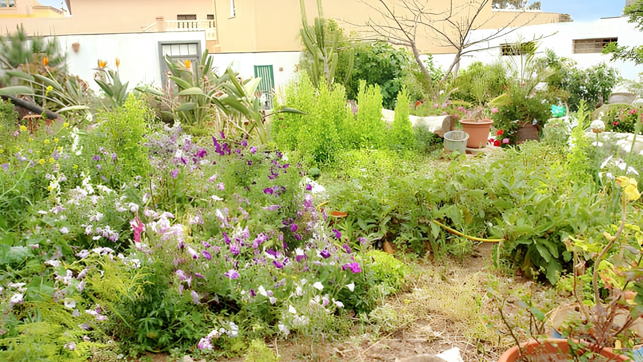 Photo of Outdoor in Valle de Guerra
