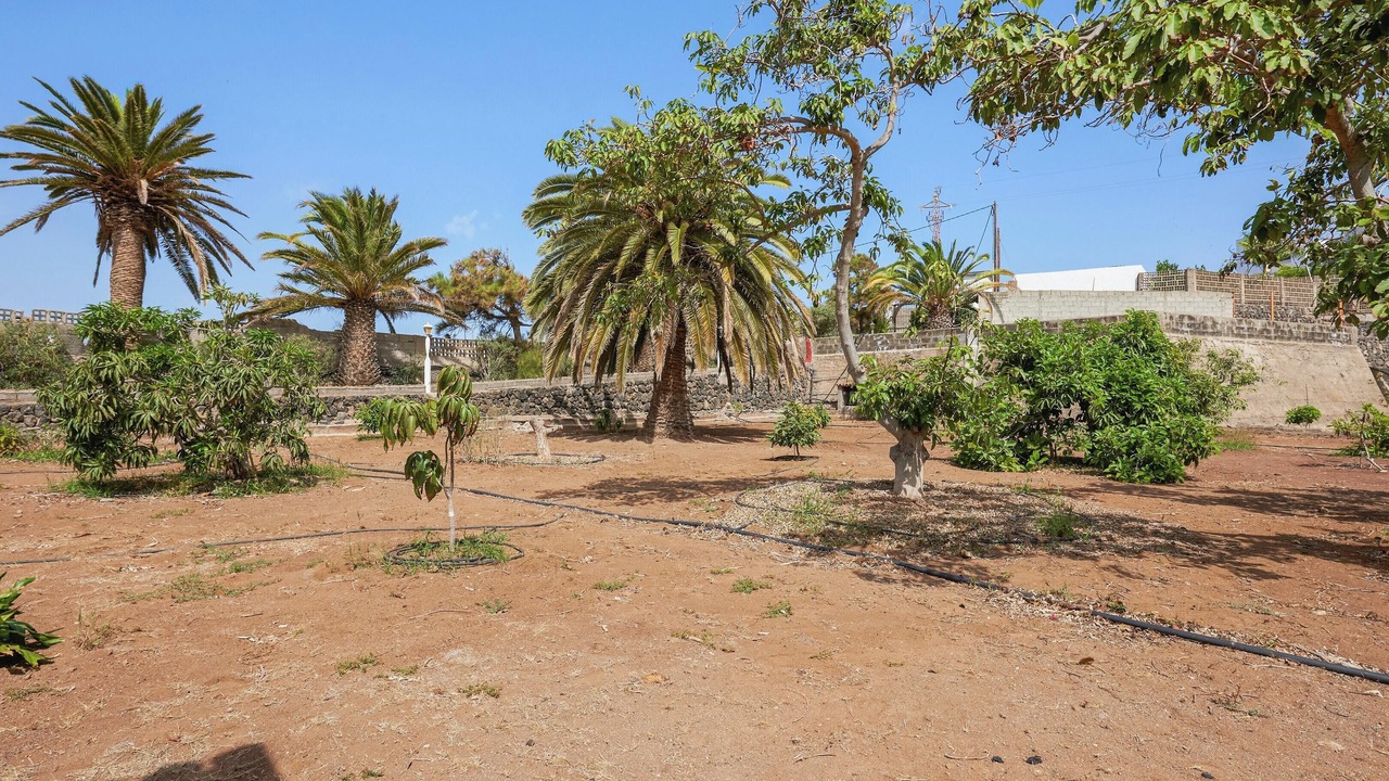 Photo of Others in Buenavista del Norte