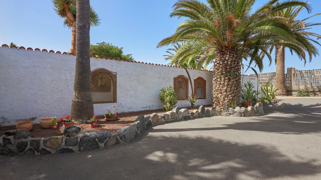 Photo of Others in Buenavista del Norte