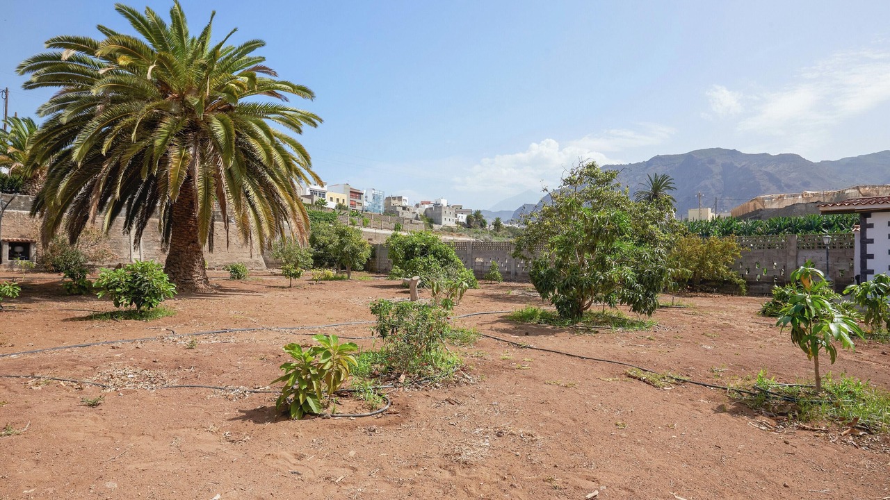 Photo of Outdoor in Buenavista del Norte