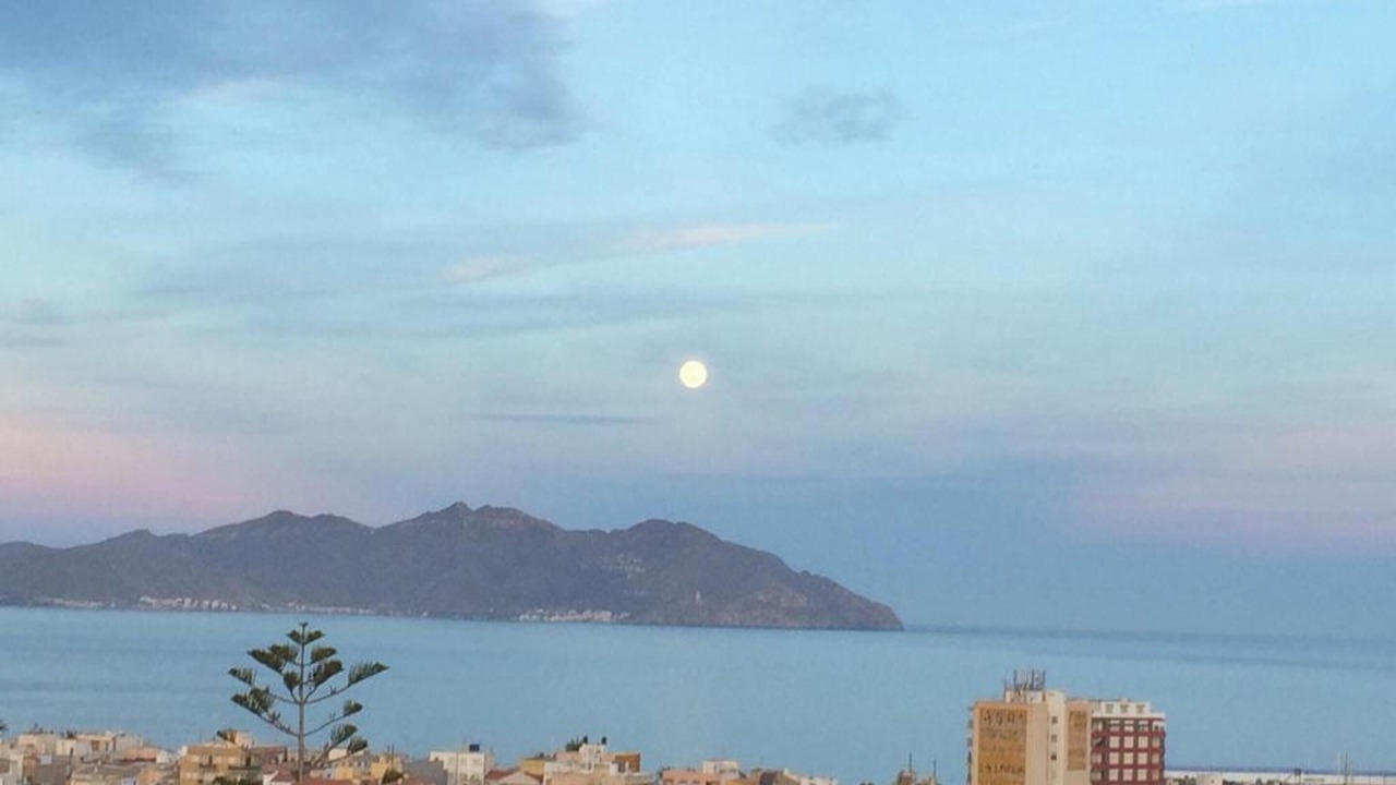 Photo of Others in Puerto de Mazarron