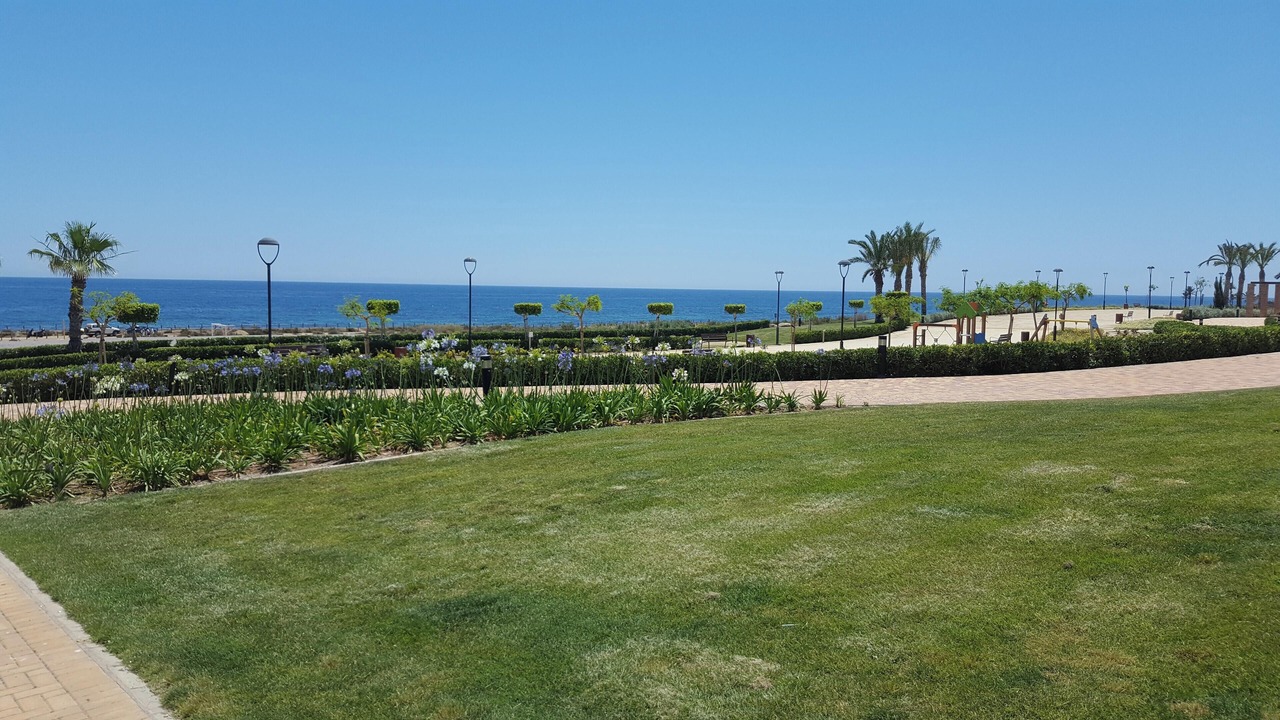 Photo of Others in Mar de Pulpi