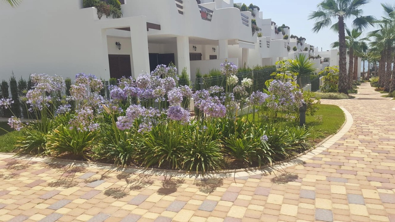 Photo of Outdoor in Mar de Pulpi