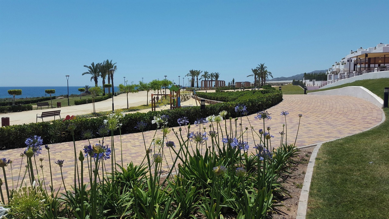 Photo of Others in Mar de Pulpi