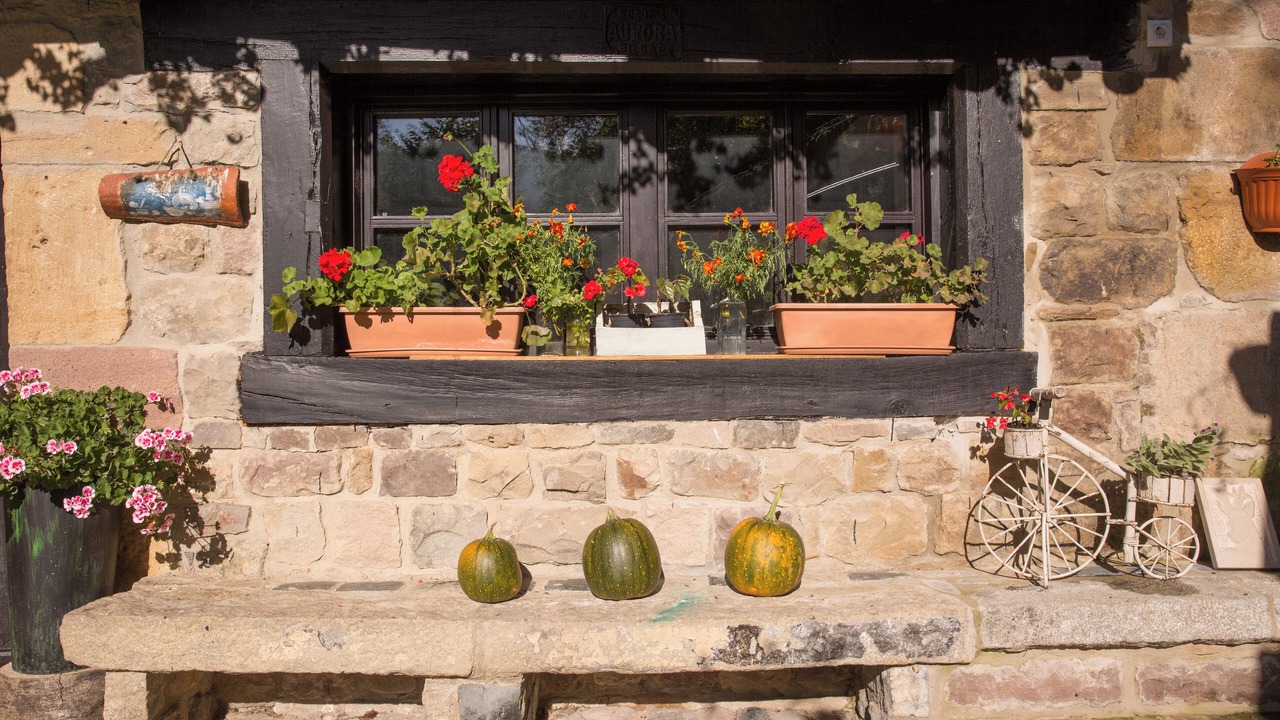 Photo of Outdoor in Los Tojos