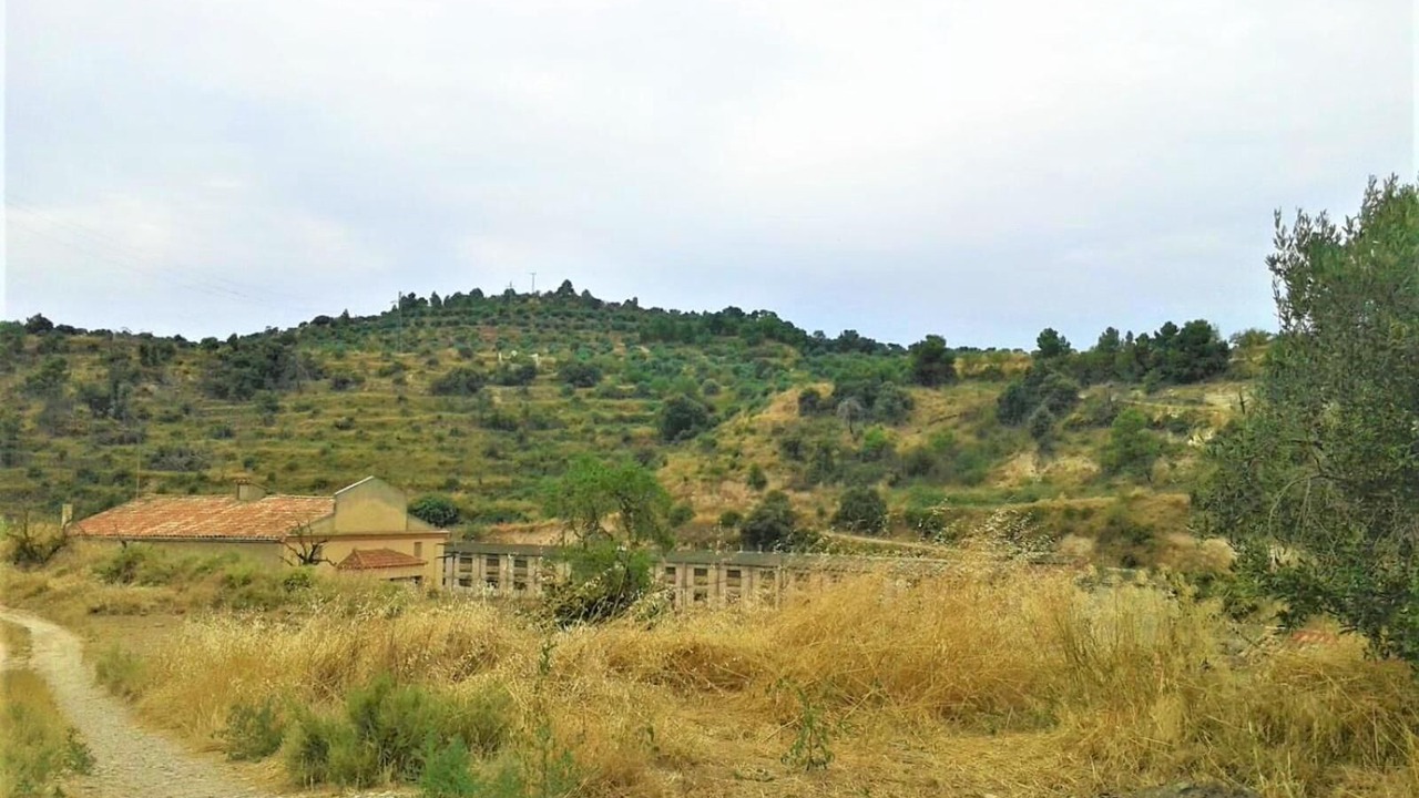 Photo of Others in Sant Marti de Riucorb