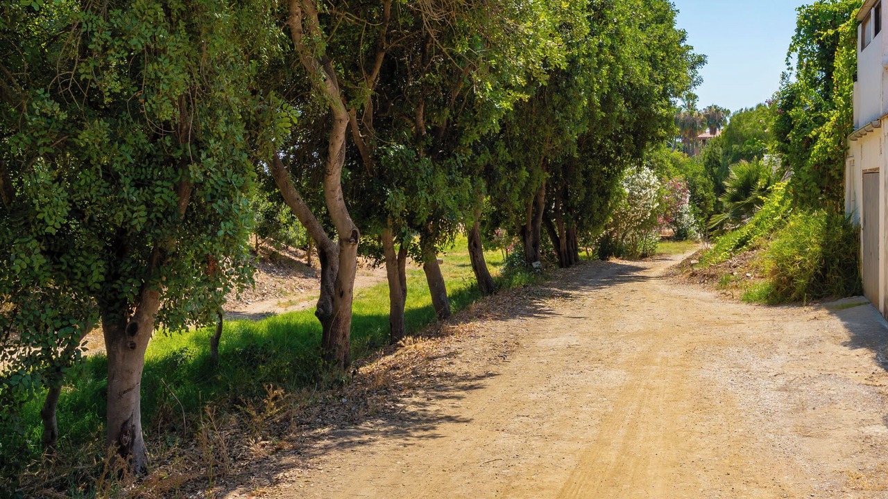 Photo of Outdoor in El Faro