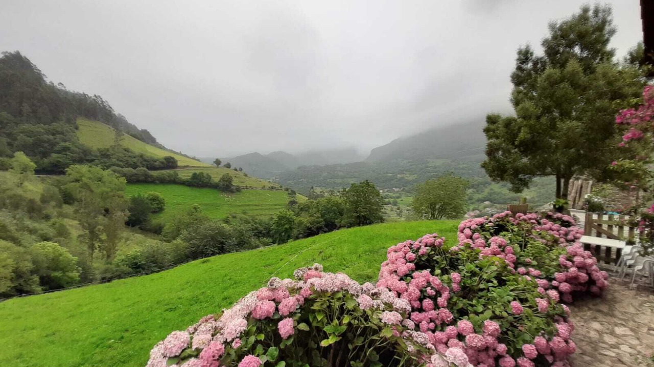 Photo of Outdoor in Penamellera Baja