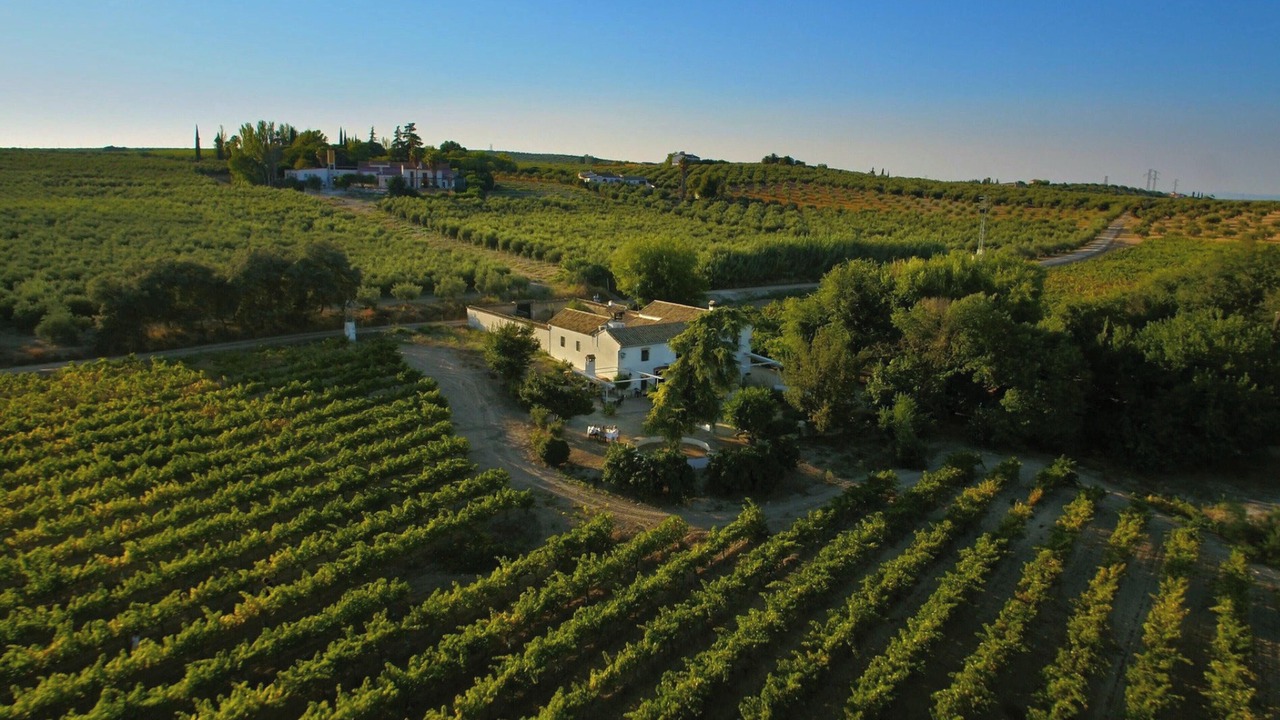 Photo of Others in Montilla
