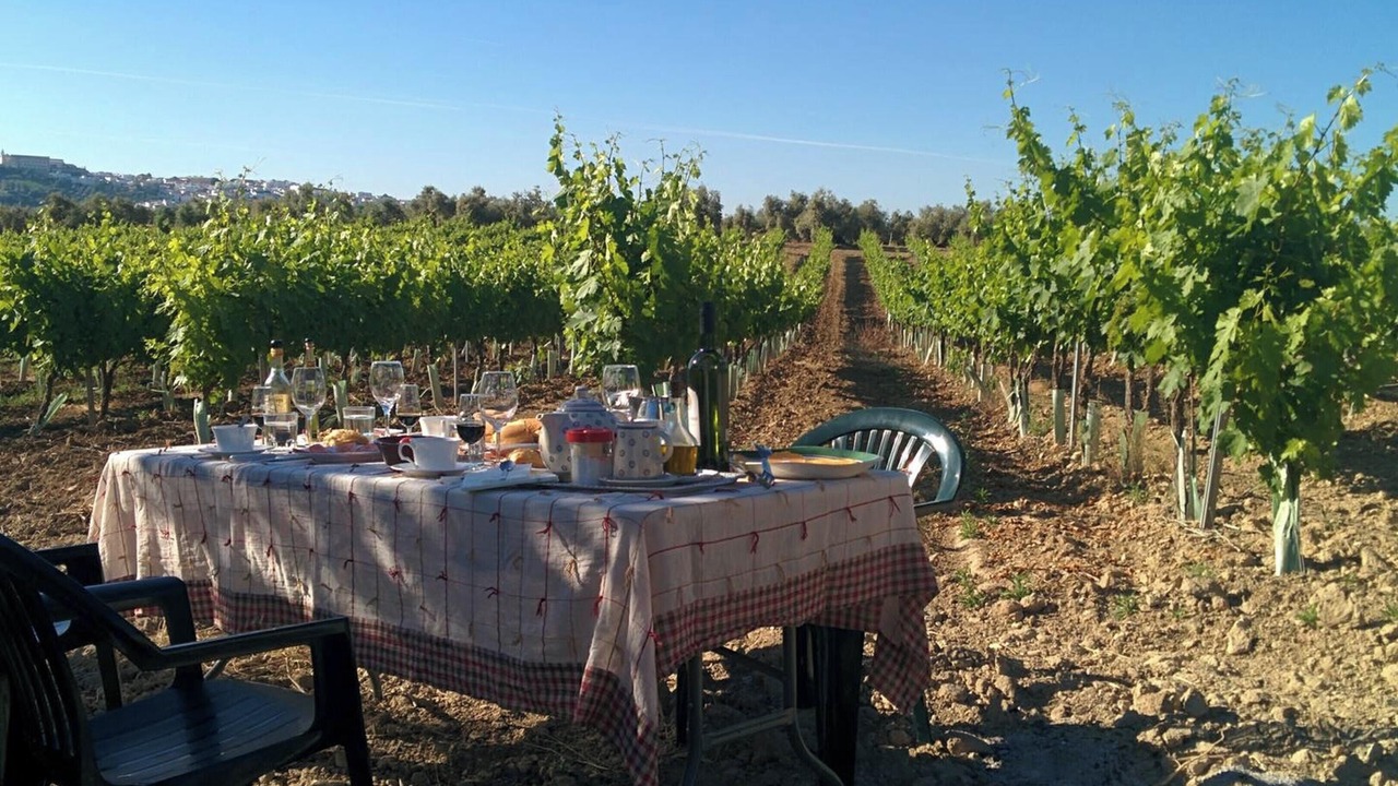 Photo of Outdoor in Montilla