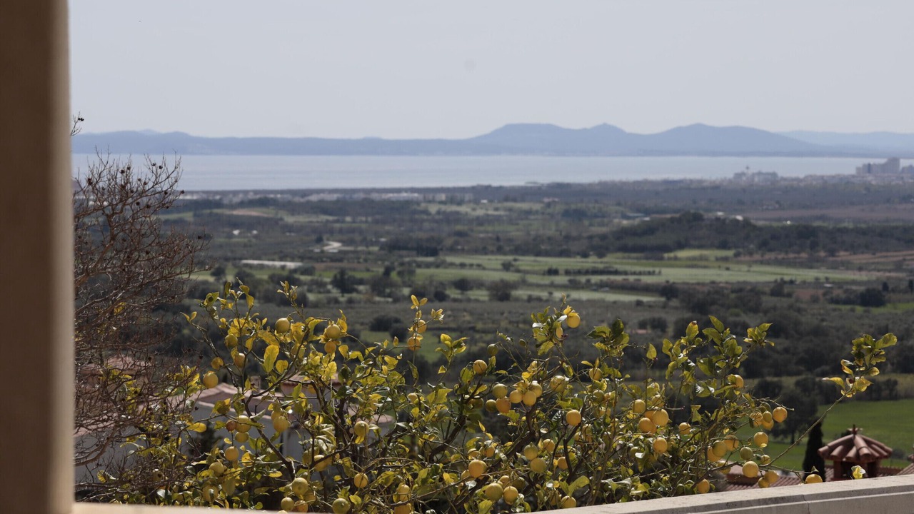 Photo of Outdoor in El Mas Isaac