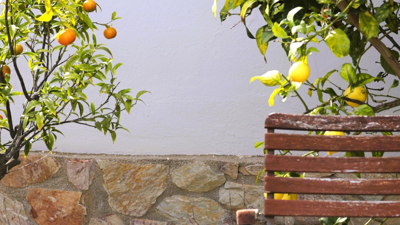 Photo of Outdoor in El Mas Isaac
