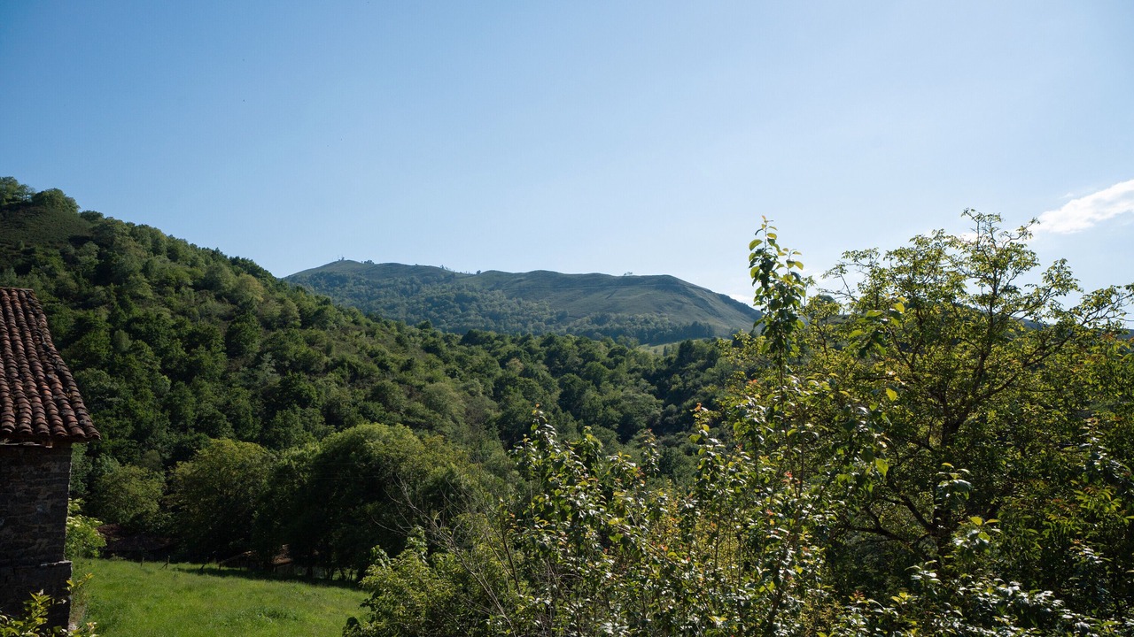 Photo of Others in Soto de Cangas