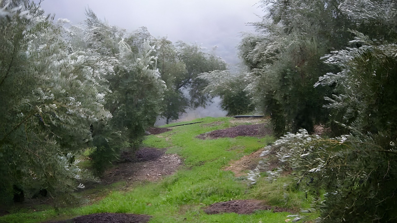 Photo of Outdoor in Villanueva del Arzobispo