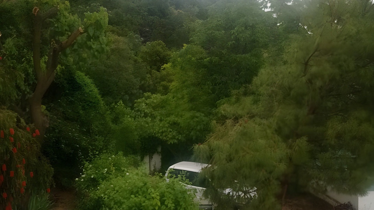 Photo of Outdoor in Villanueva del Arzobispo