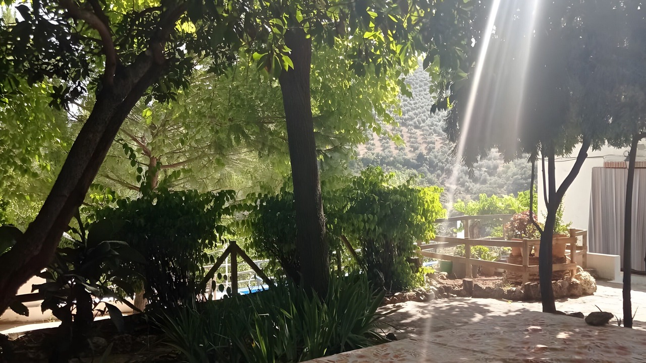 Photo of Outdoor in Villanueva del Arzobispo