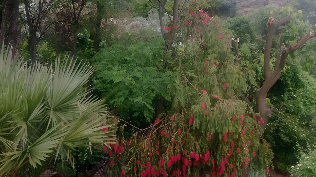 Photo of Patio Balcony in Villanueva del Arzobispo