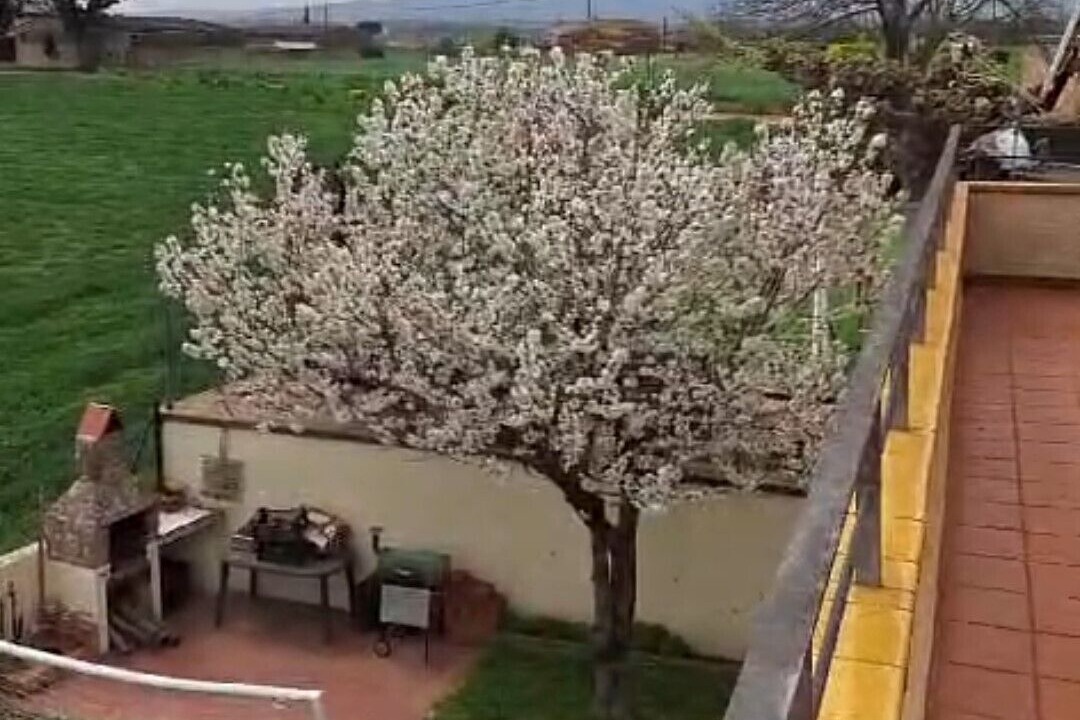 Photo of Patio Balcony in Salitja