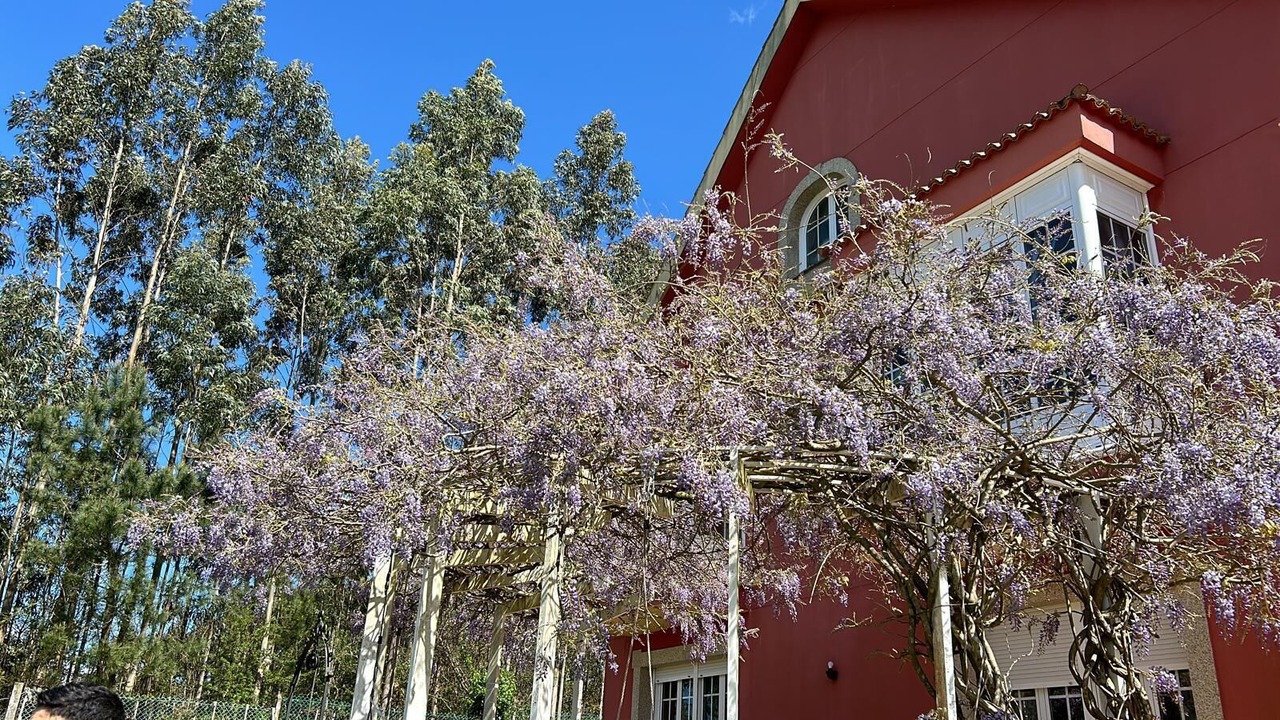 Photo of Outdoor in Cabanas